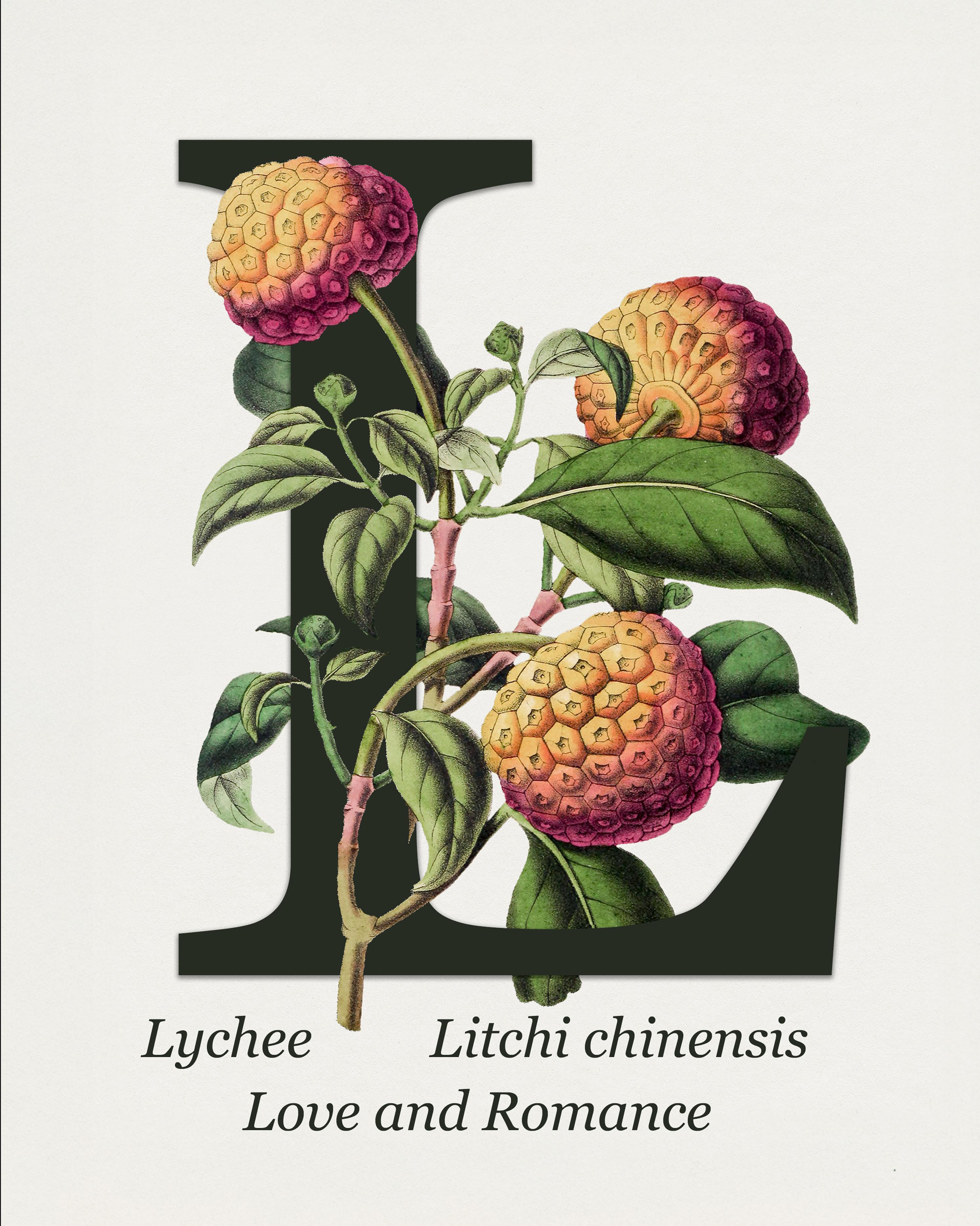 Monogram Collage 海报